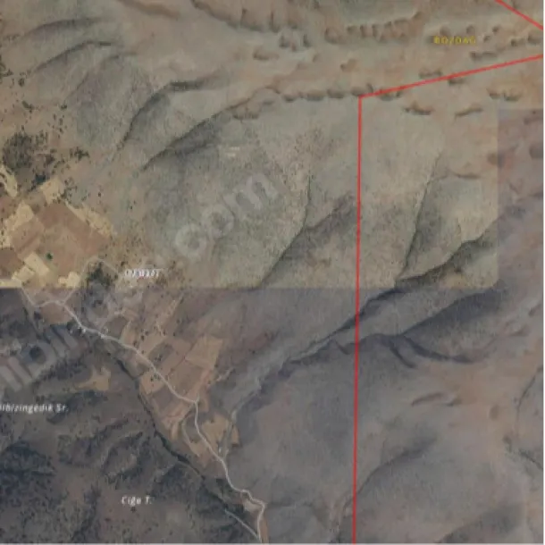 BİLECİK MAHALLESİ'NDE 770 M2 SATILIK BAHÇE