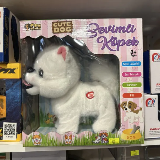 Konuşan müzikli köpek